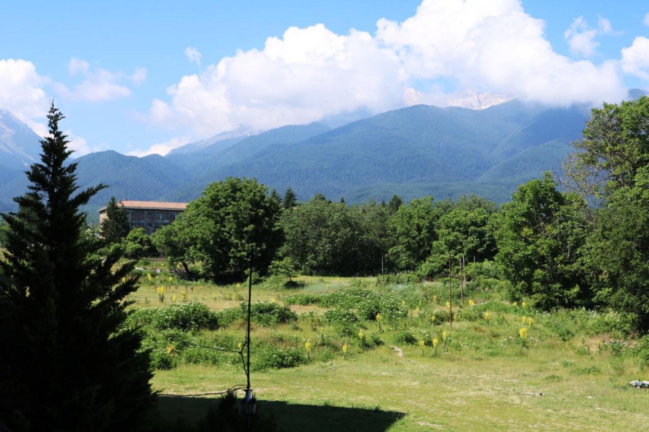 Private Apartments In Alpine Lodge Bansko Dış mekan fotoğraf